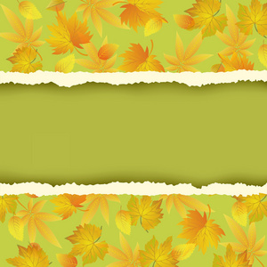 绿色背景与色彩鲜艳的秋叶