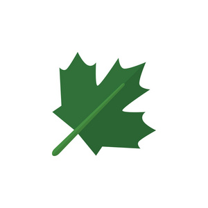 枫叶元素图片-枫叶元素素材-枫叶元素插画-摄图新视界