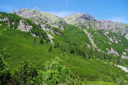 塔特拉山波兰