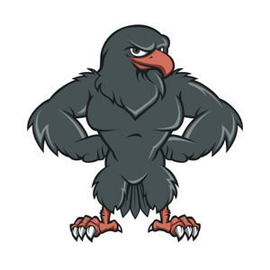 所有的黑鸟图片图片