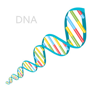 dna 链图标