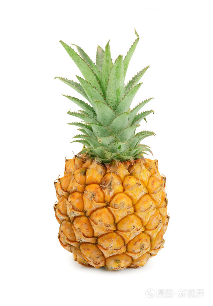 孤立在白色背景上的菠萝