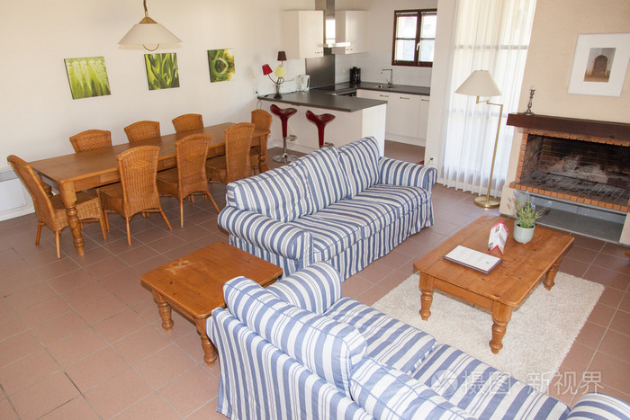 蓝色条纹的沙发在客厅里在家里