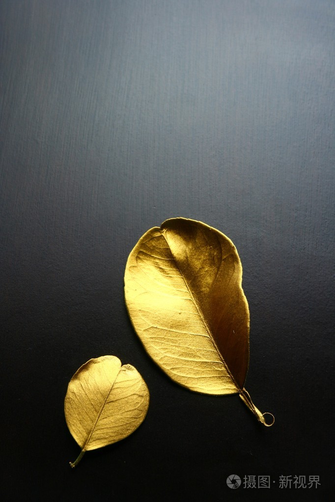 金色树叶