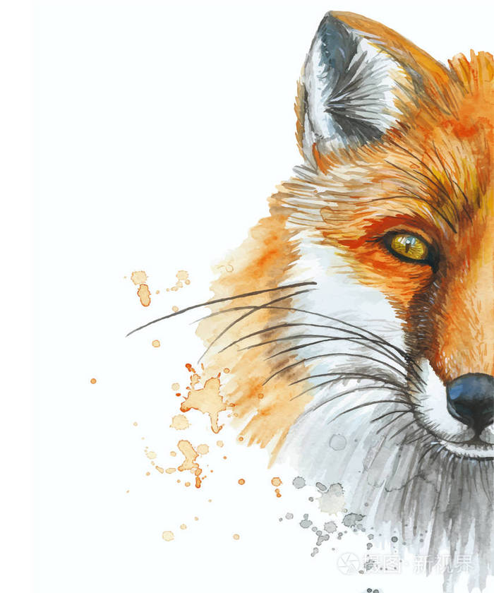 漆画水彩动物哺乳动物狐狸红狐狸