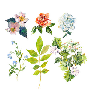 向量集的彩色卡通花相似素材图片 摄图新视界