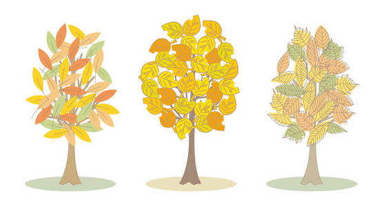 设置在秋天的彩色树木