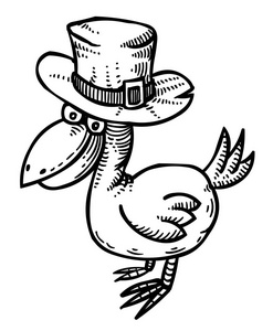 卡通形象的鸟戴着顶帽子图片