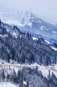 在奥地利的温泉和滑雪胜地坏 Gasteinl，奥地利山坡的视图