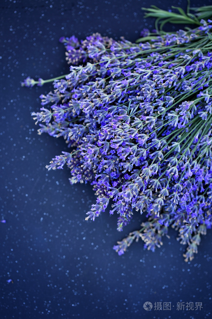 美丽的薰衣草花束