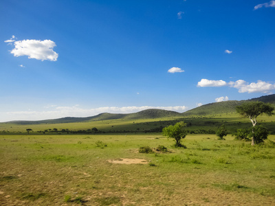 肯尼亚马赛玛拉国家保护区