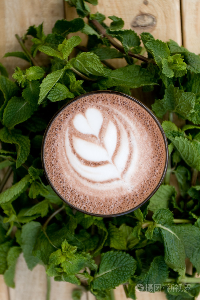 在香薄荷的有用和健康薄荷可可小枝
