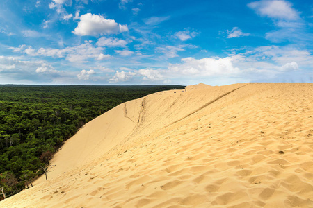 在法国波尔多湾拉特 dune