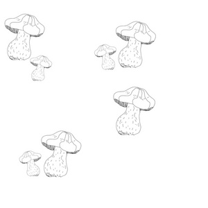 在白色背景上的蘑菇。无缝
