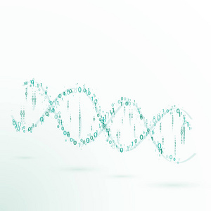 Dna。二进制代码。矢量图