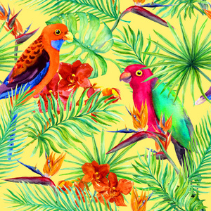 热带鹦鹉鸟丛林叶片，充满异国情调的花。无缝模式。水的颜色
