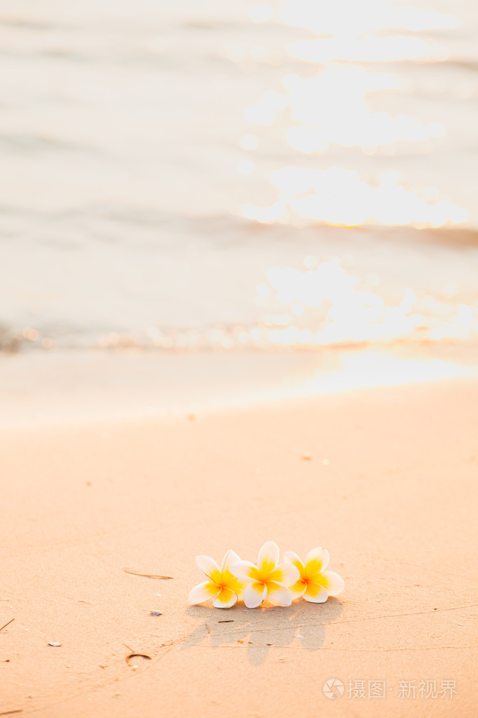 花在沙滩上