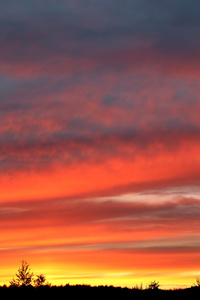 照片的夕阳的天空