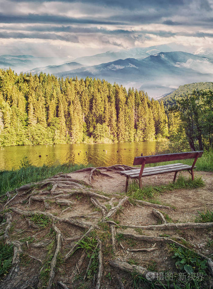 休息的地方一个安静的地方湖附近的公园里的影子平静的概念地面上的
