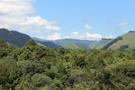 Reikorangi 谷，新西兰