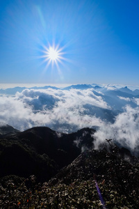 观云海从高山