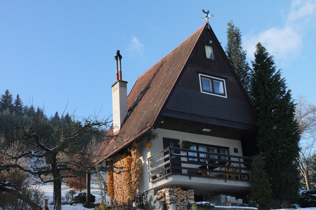 在冬季花园村小屋