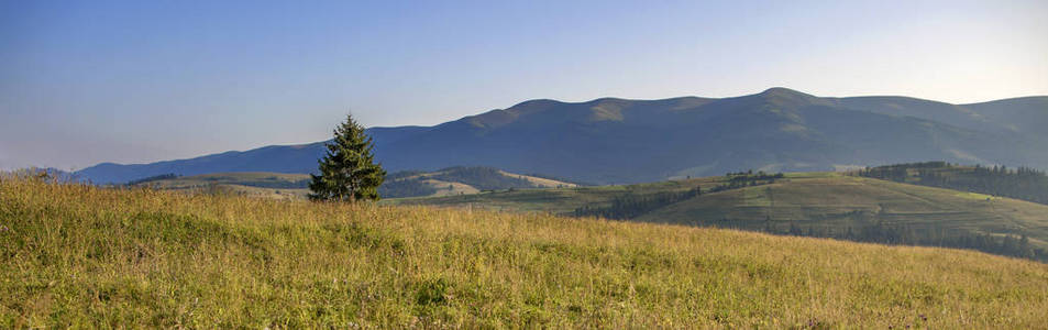 在夏天的早晨的太阳光线在喀尔巴阡山的美丽全景