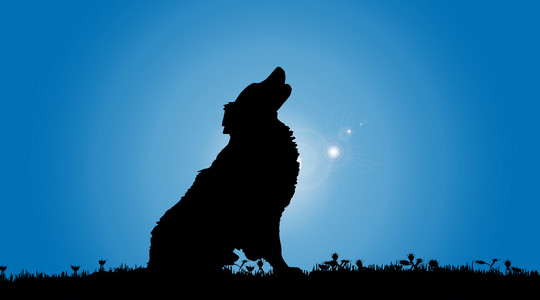 狗孤独剪影图片