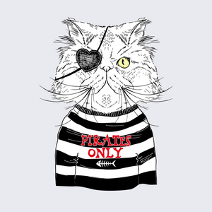 波斯猫海盗,航海海报照片