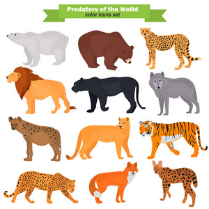 一组野生食肉动物颜色平面图标