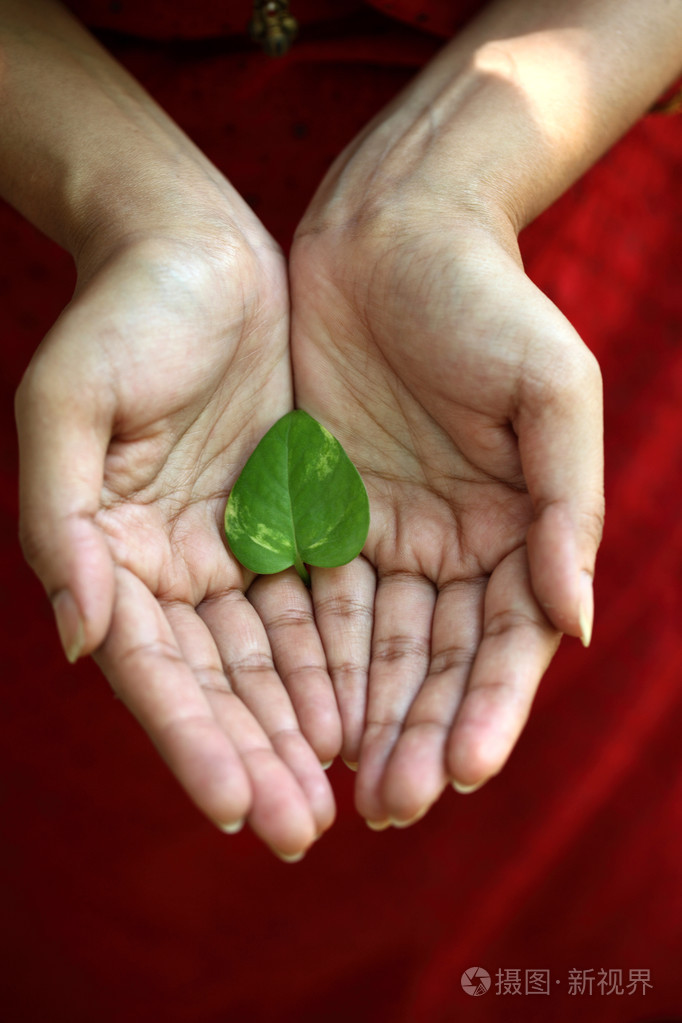 绿心形状叶在女人的手