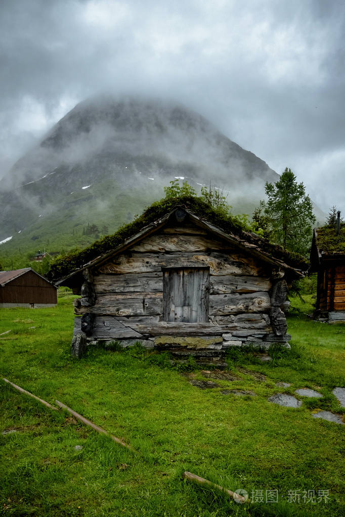 风景的草老木房子的屋顶上传统的挪威房子