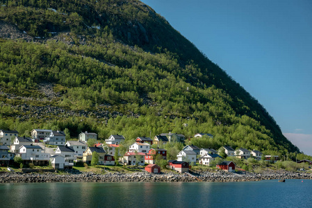 典型的挪威村庄图片