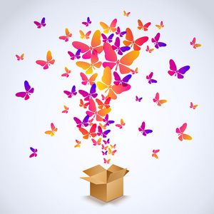 五彩缤纷的蝴蝶包装盒