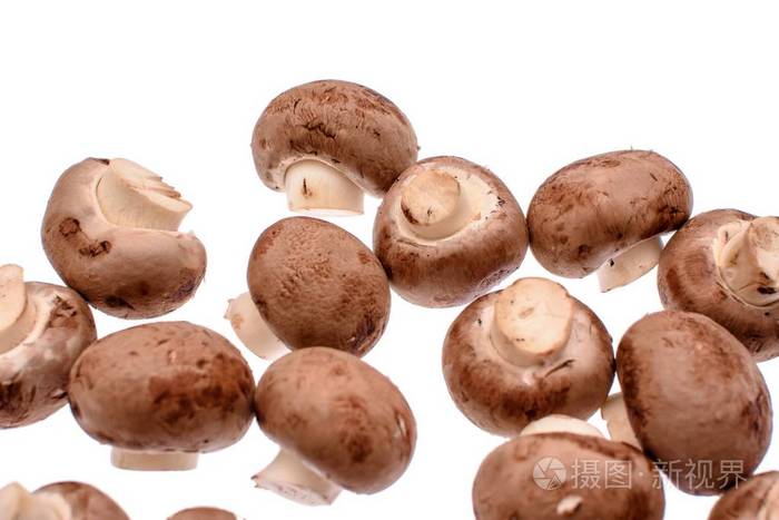 灰色蘑菇香菇孤立在白色背景上