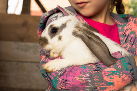 可爱的兔子在怀抱中的小女孩
