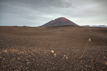 Lndscape 火山山帝曼法雅国家公园，兰萨罗特岛，加那利群岛