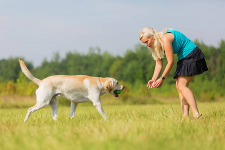 成熟的女人和一只拉布拉多犬在户外玩