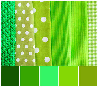 用绿色的颜色调色板照片