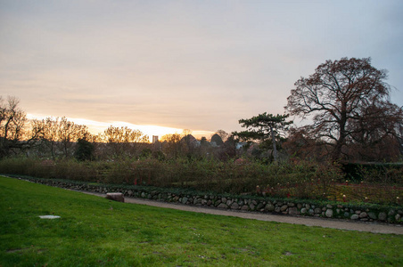 在一个公园里沃尔丹麦的日落