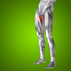 大腿内侧湿疹图片