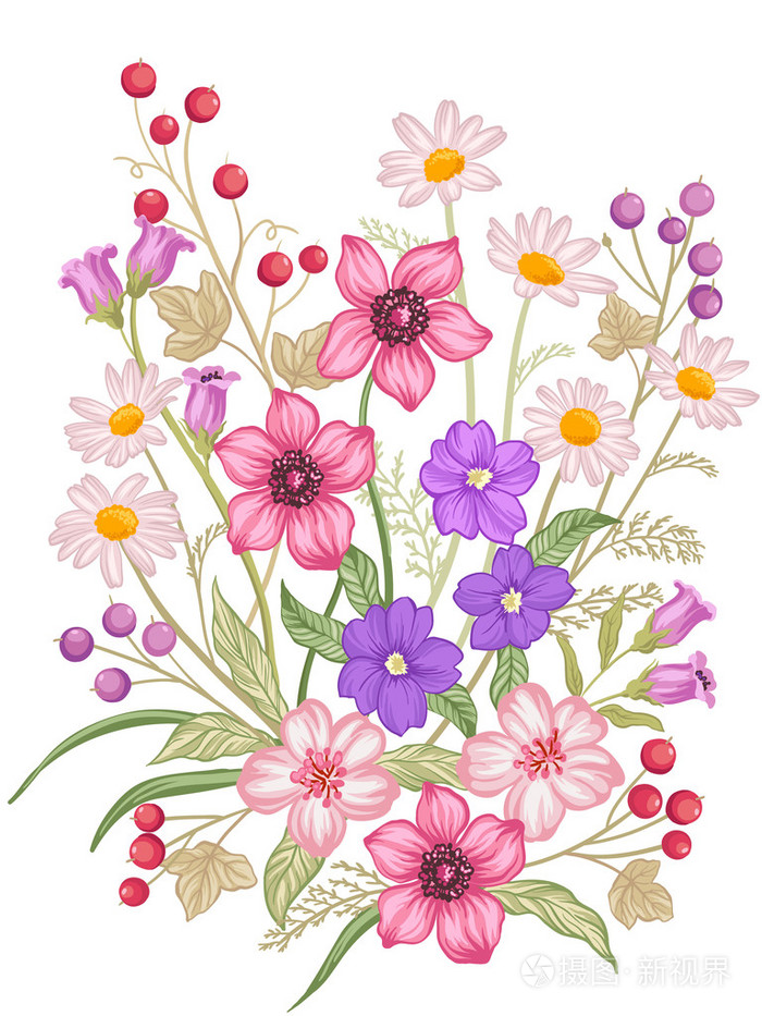 美丽的花卉图案