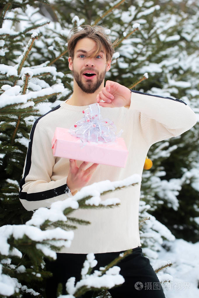 惊讶的男子气概在雪木