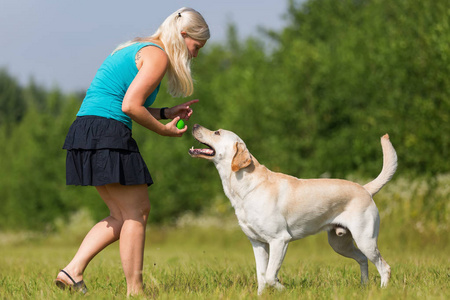 成熟的女人和一只拉布拉多犬在户外玩