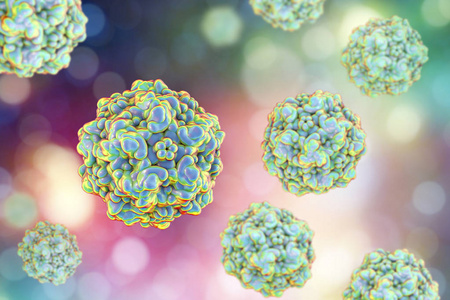 犬细小病毒,插图.病毒造成肠道和心脏感染犬照片