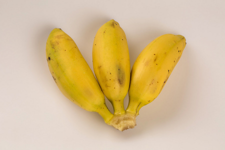 金香蕉一个分支