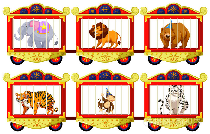 野生动物在马戏团的笼子里