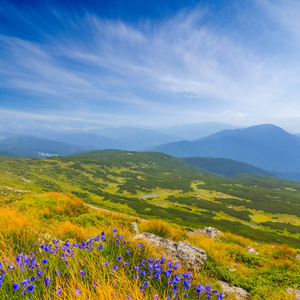 喀尔巴阡乌克兰绿色山风景