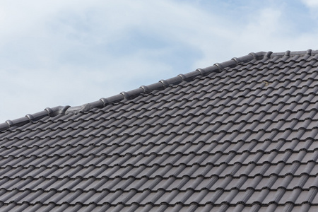 黑瓦屋顶上一座新房子照片