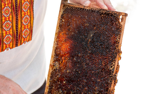 养蜂人准备蜂巢蜂蜜精馏图片